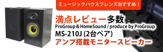 ���_���r���[�����@���j�^�[�X�s�[�J�[�@MS-210J