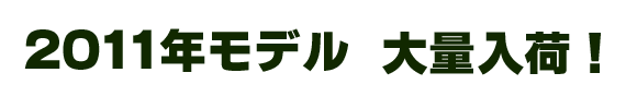 2011�N���f����ʓ��ׁI