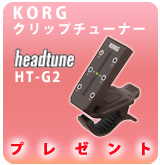 PKorg / HT-G2 åץ塼ʡ