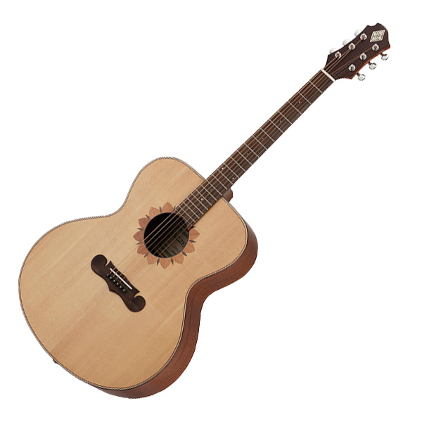 Zemaitis(ゼマティス) / CAD-100FW - ギター　アコーステックギター -