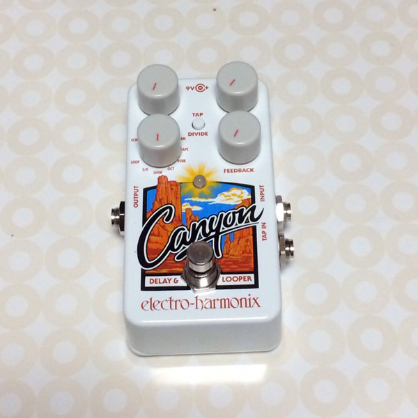 Electro-Harmonix(エレクトロ・ハーモニックス) / Canyon - ディレイ・ルーパー - 《ギターエフェクター》