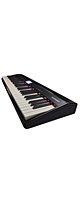 Roland(ローランド) / GO:PIANO (GO-61P) 61鍵 エントリーキーボード 1大特典セット
