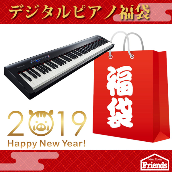 【限定2セット】Roland FP-30福袋 (ブラック) 【スタンド・バッグイスなどなどとおまけが付いて正月大特価！！】
