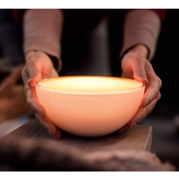 Philips Hue / フィリップス Philips Hue Go / 1600万色 / LED Bluetooth対応 スマートライト 照明