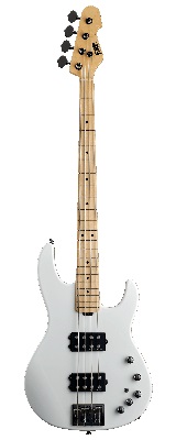 ESP(イーエスピー) ／ AP-SL M／BKS Black Satin Hard Maple FB