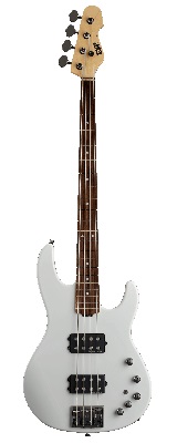 ESP(イーエスピー) ／ AP-SL M／BKS Black Satin Hard Maple FB