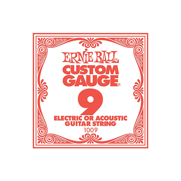Ernie Ball(アーニーボール) / .009 PLAIN STEEL #1009 / エレキギター バラ弦