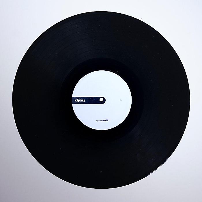 djay Control Vinyl 1枚 Black 12” コントロールバイナル algoriddim(アルゴリディム) ターンテーブルセットアップに+iphoneでDJ