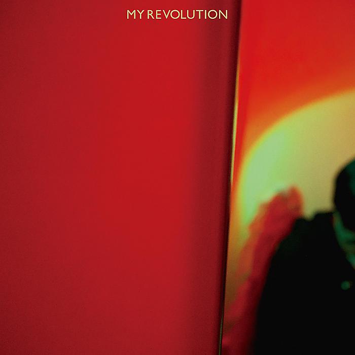 ゆうらん船 - MY REVOLUTION(LP) /