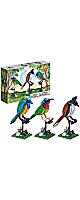 Apostrophe Games Birds Building Block Kit - 408 Pieces - for Kids and Adults