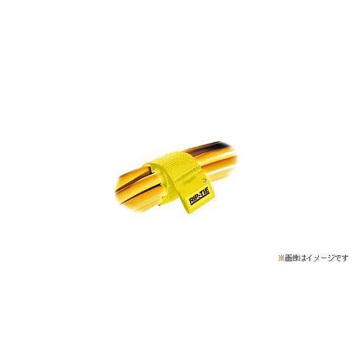 RIP-TIE ( リップタイ ) / H-09-010-Y