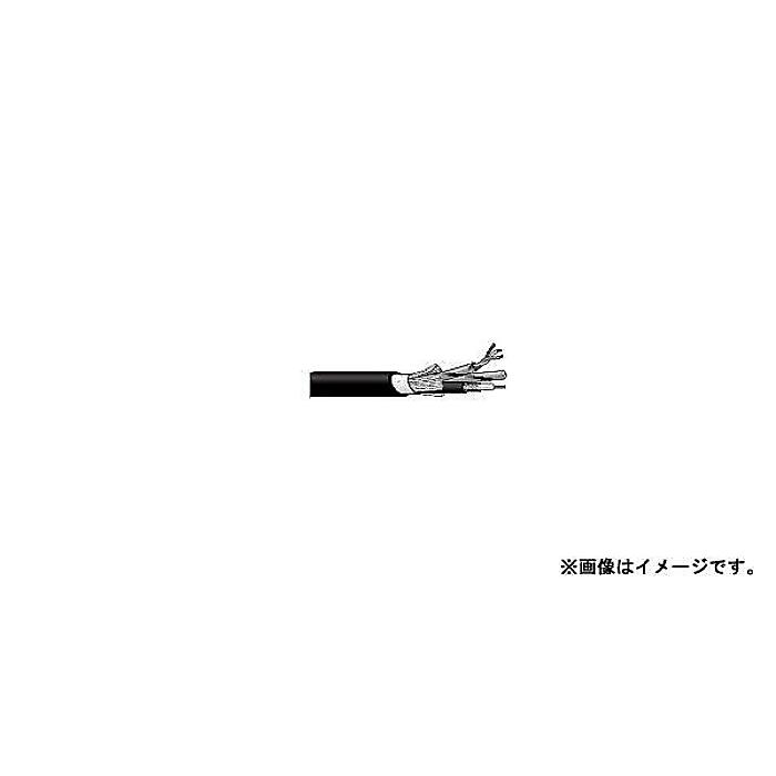CANARE ( カナレ ) / A2V2B100B