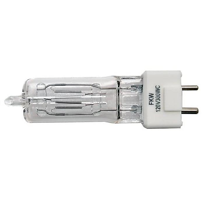 USHIO ( ウシオ ) / JCS120V300WC