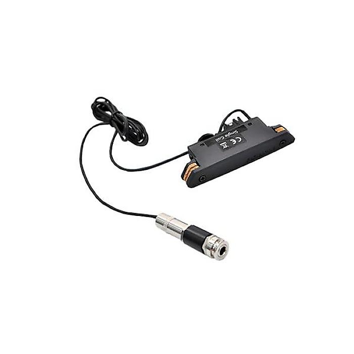 FISHMAN ( フィッシュマン ) / Rare Earth Single Coil Active Soundhole Pickup
