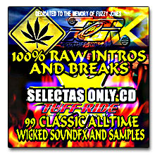 V.A. / 100% RAW INTROS & BREAKS(CD-R)