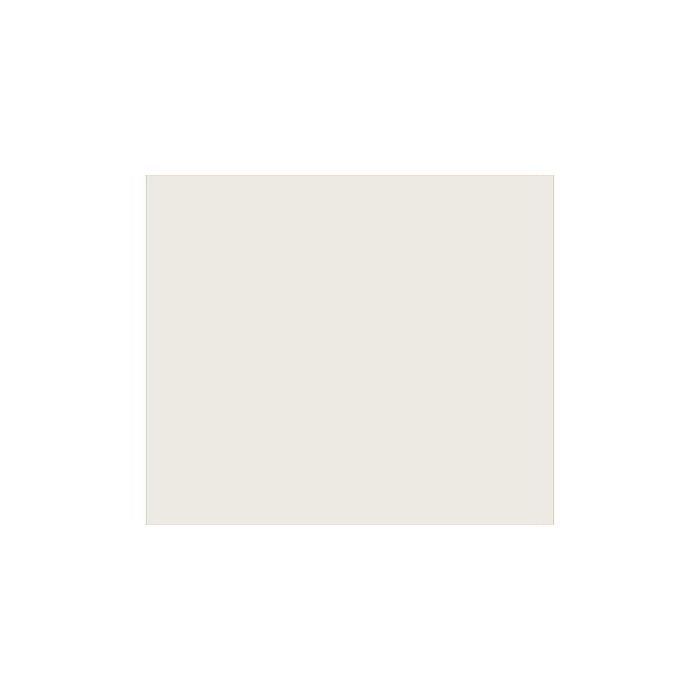 ALLPARTS ( オールパーツ ) / PG-0095-050 Parchment Pickguard Blank