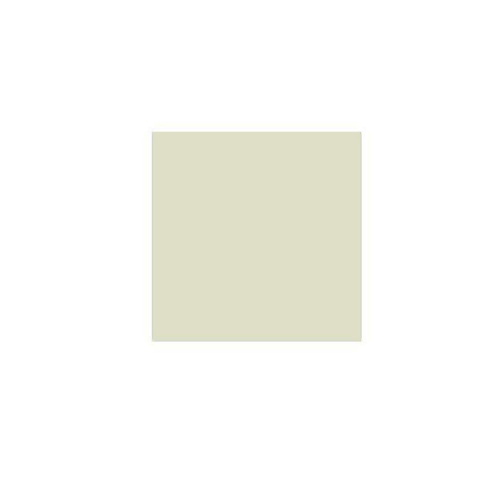 ALLPARTS ( オールパーツ ) / PG-0095-024 Mint Green Pickguard Blank