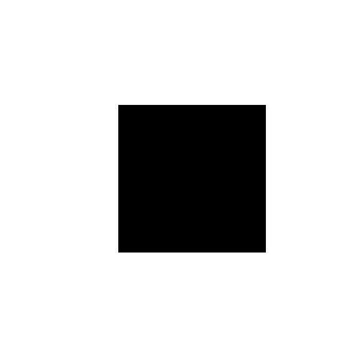 ALLPARTS ( オールパーツ ) / PG-0095-023 Black Pickguard Blank