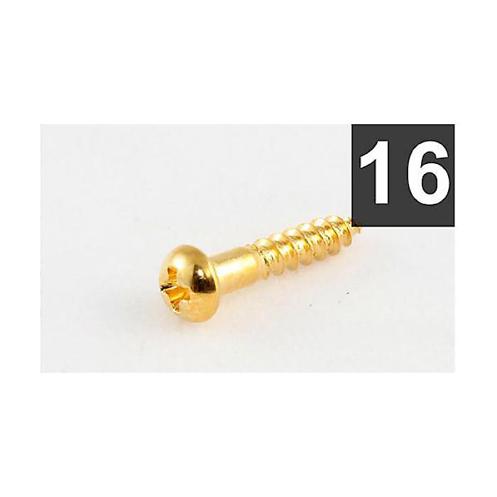 ALLPARTS ( オールパーツ ) / GS-0006-002 Pack of 16 Long Gold Machine Head Screws