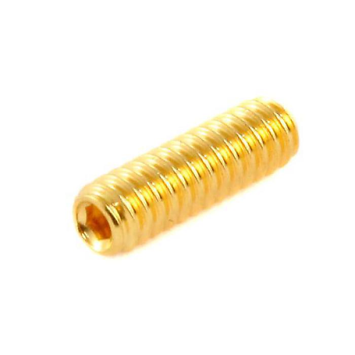 ALLPARTS ( オールパーツ ) / GS-0002-002 Pack of 12 Gold #4-40 Bridge Height Screws