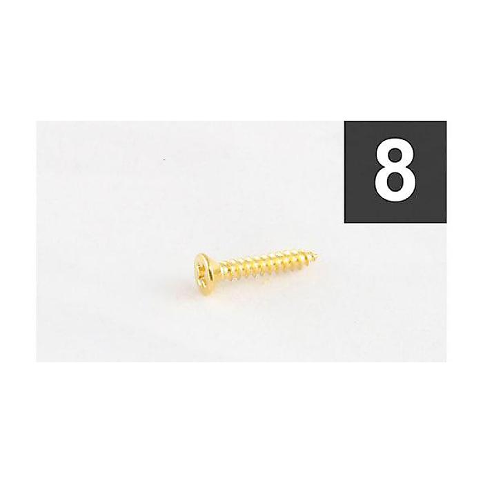 ALLPARTS ( オールパーツ ) / GS-3397-002 Pack of 8 Gold Short Humbucking Ring Screws