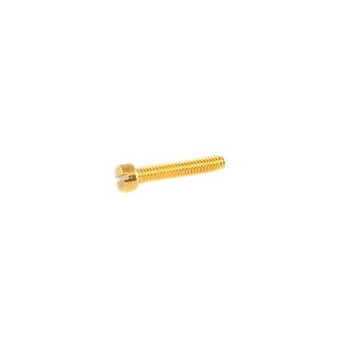 ALLPARTS ( オールパーツ ) / GS-5453-002 Pack of 6 Gold Humbucker Pole Piece Screws