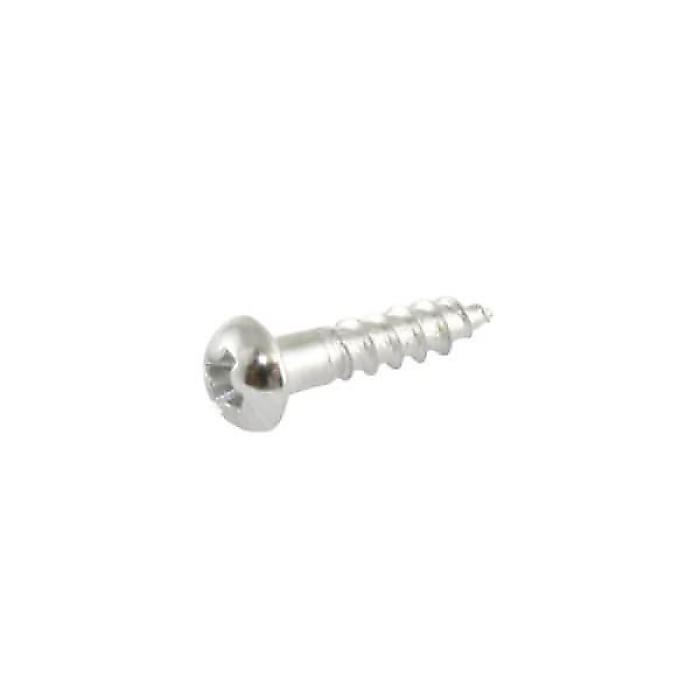 ALLPARTS ( オールパーツ ) / GS-3376-B10 Bulk Pack of 100 Chrome Small Tuner Screws