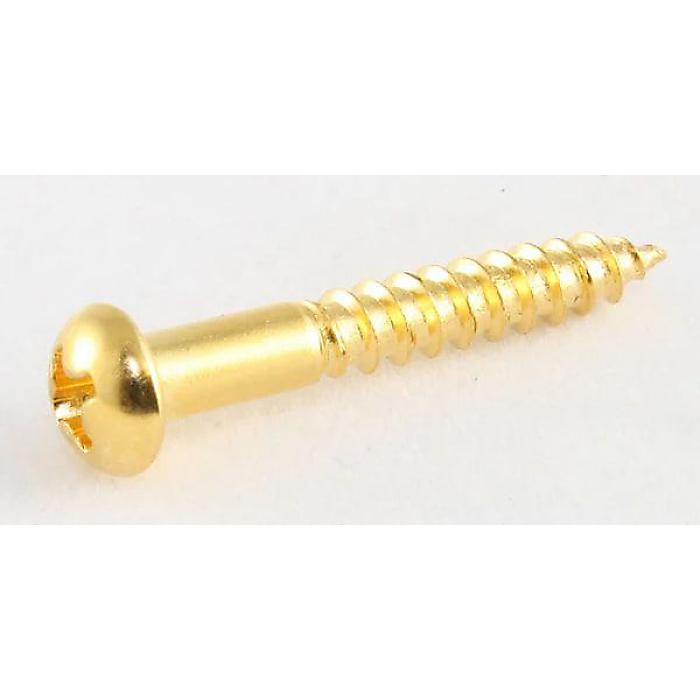 ALLPARTS ( オールパーツ ) / GS-0013-B02 Bulk Pack of 50 Gold Tremolo Mounting Screws