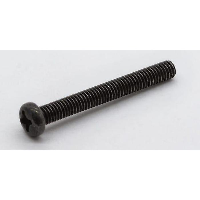 ESP ( イーエスピー ) / BRオクターブビス SET(2) M3x25 Black