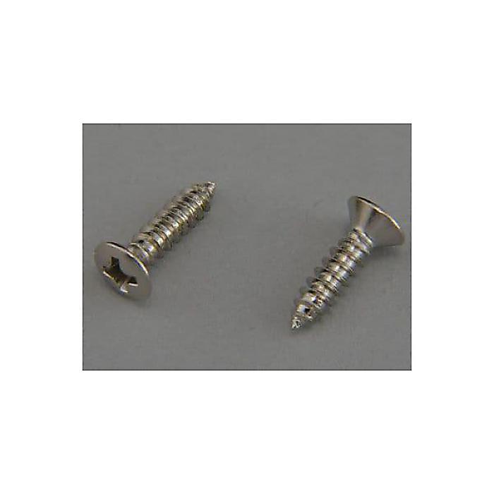 MONTREUX ( モントルー ) / JPN Pickguard Screw Current Nickel (12)