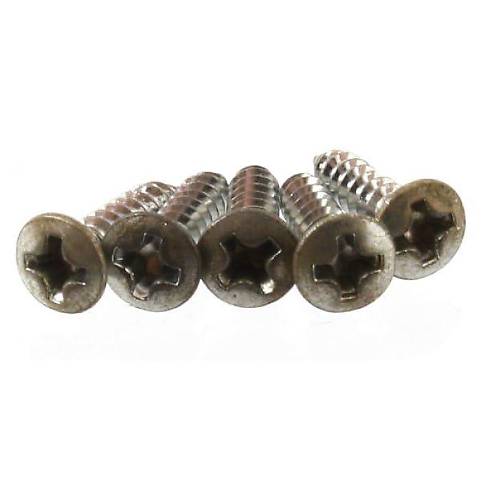 ALLPARTS ( オールパーツ ) / GS-0001-007 Pack of 20 Aged Nickel Pickguard Screws