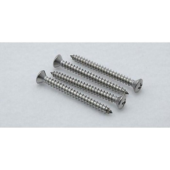 CALLAHAM ( カラハム ) / Stainless Steel Neck Plate Screws (4)