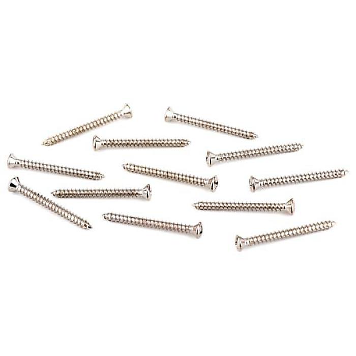 FENDER ( フェンダー ) / NECK PLATE MOUNTING SCREWS AMERICAN STANDARD-DELUXE (12)