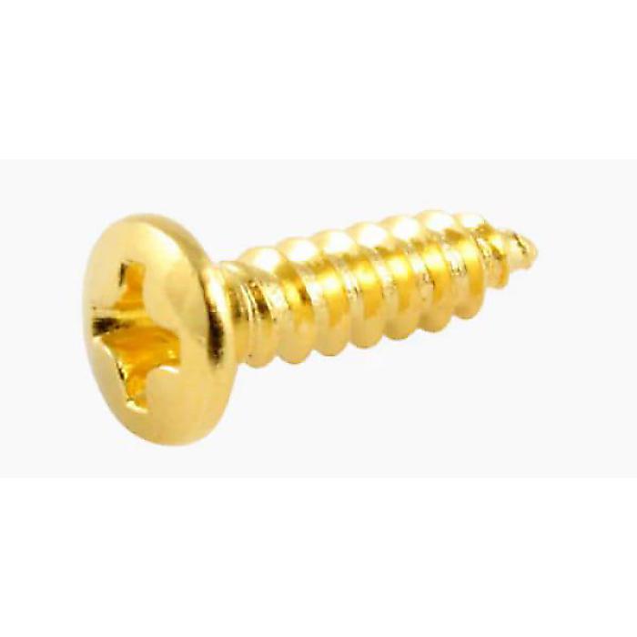 ALLPARTS ( オールパーツ ) / GS-0001-B02 Bulk Pack of 100 Gold Pickguard Screws