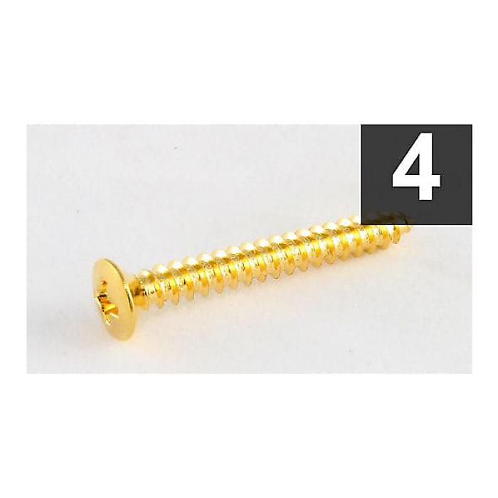 ALLPARTS ( オールパーツ ) / GS-3005-002 Pack of 4 Gold Short Neck Plate Screws