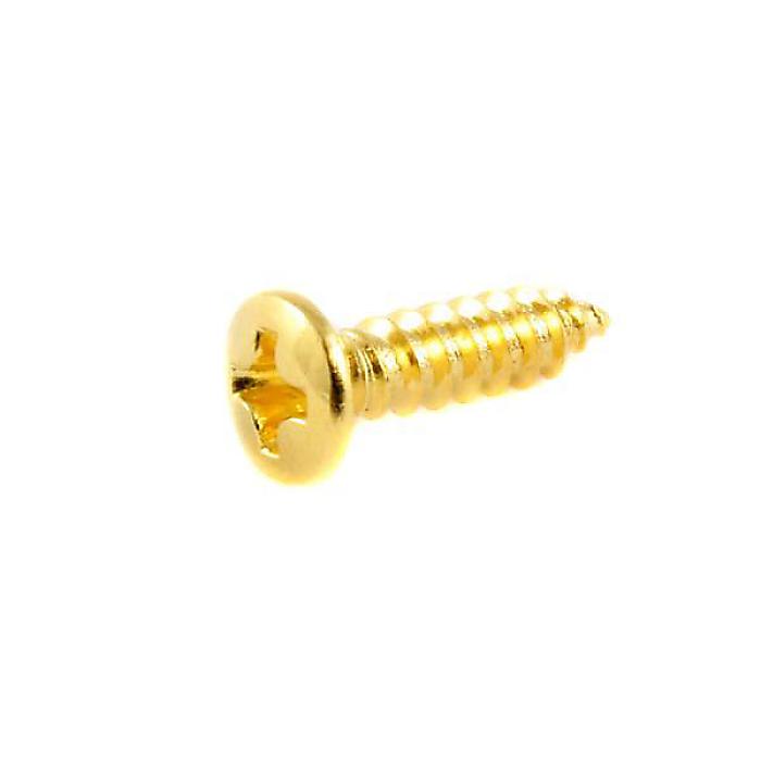 ALLPARTS ( オールパーツ ) / GS-0050-002 Pack of 20 Gold G Size Pickguard Screws
