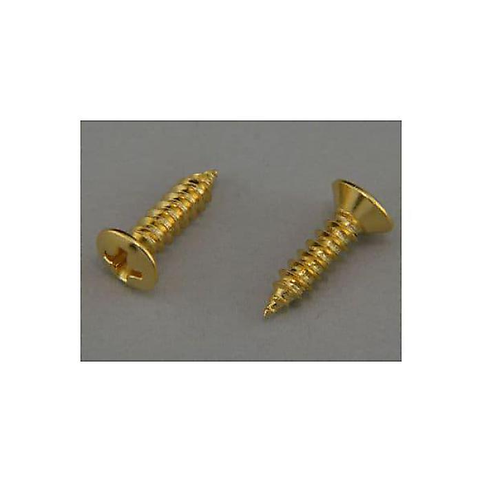 MONTREUX ( モントルー ) / JPN Pickguard Screw Current Gold (12)
