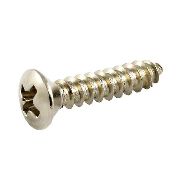 ALLPARTS ( オールパーツ ) / GS-0091-001 Pick guard screws (20) phillips head, Nickel