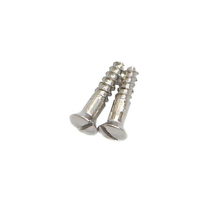 MONTREUX ( モントルー ) / Inch TL control plate screws (2)