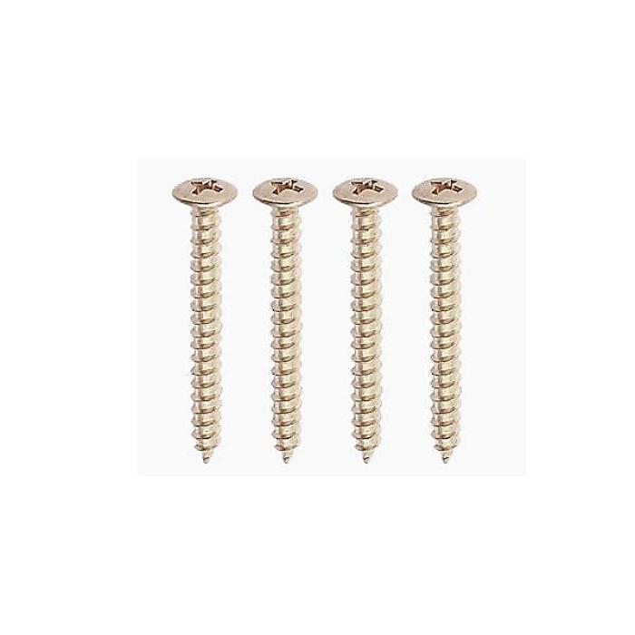 ALLPARTS ( オールパーツ ) / GS-0005-B01 Bulk Pack of 50 Nickel Neckplate Screws