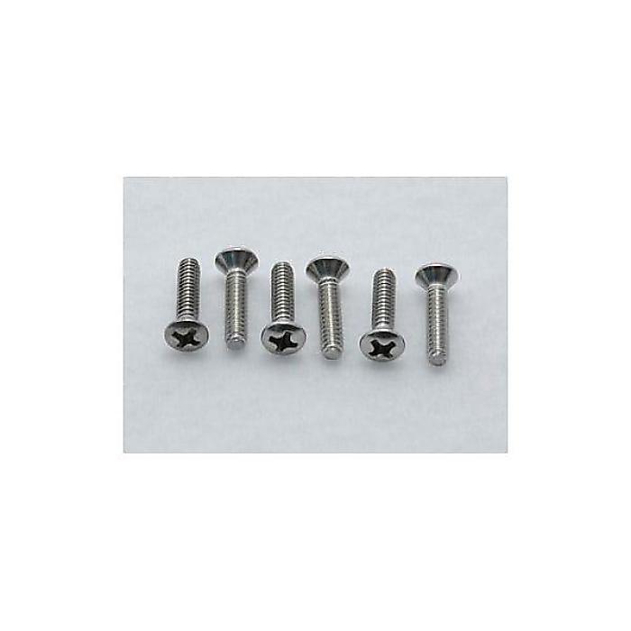CALLAHAM ( カラハム ) / Stainless Steel Countersunk Oval Head Pickup Screws (6)