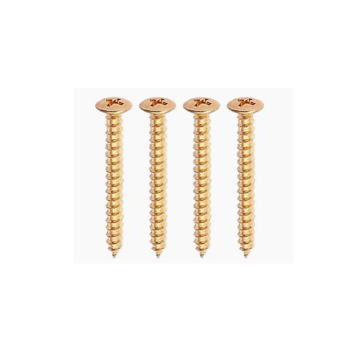 ALLPARTS ( オールパーツ ) / GS-0005-B02 Bulk Pack of 50 Gold Neckplate Screws