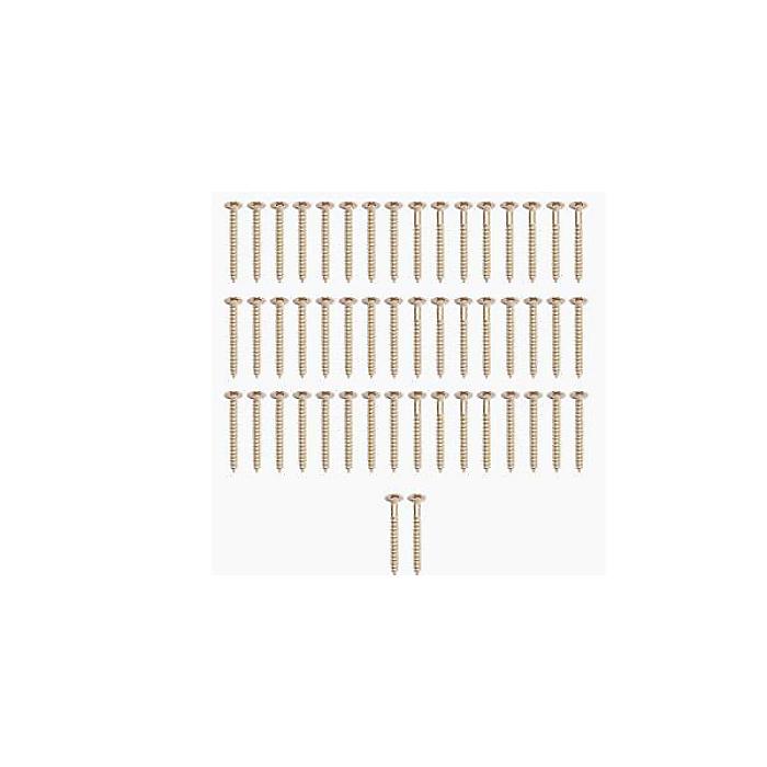 ALLPARTS ( オールパーツ ) / GS-0005-B05 Bulk Pack of 50 Steel Neckplate Screws