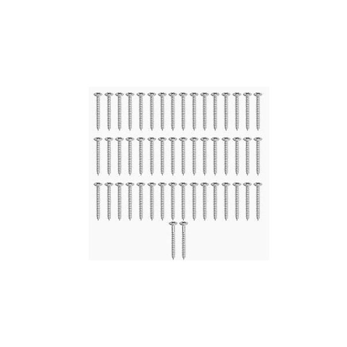ALLPARTS ( オールパーツ ) / GS-0005-B10 Bulk Pack of 50 Chrome Neckplate Screws
