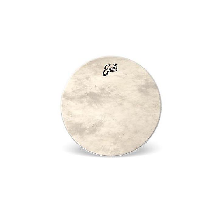 EVANS ( エバンス ) / BD24GB4CT EQ4 カーフトーン 24インチ