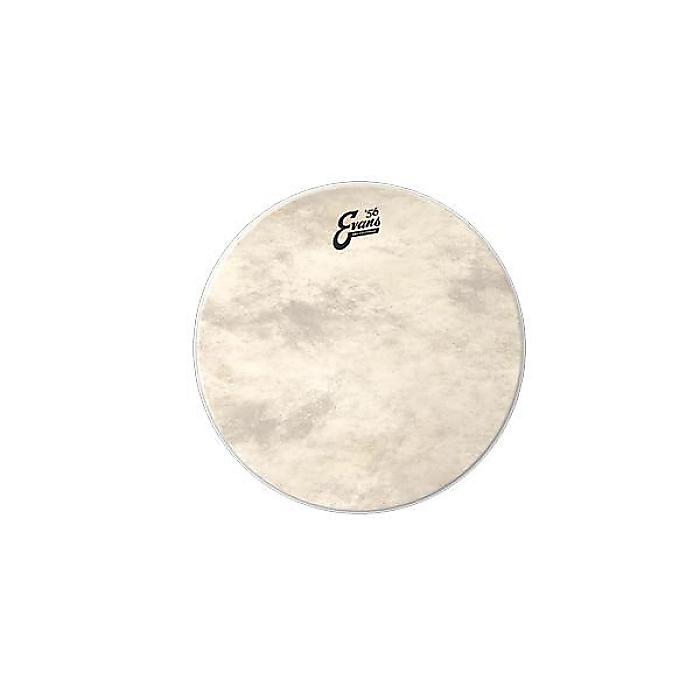 EVANS ( エバンス ) / BD20GB4CT EQ4 カーフトーン 20インチ