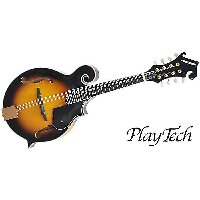 PLAYTECH ( プレイテック ) / PFM10F Fスタイルフラットマンドリン