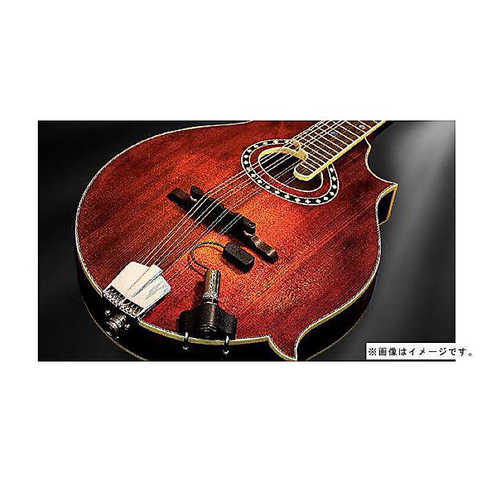 L.R.Baggs ( エルアールバックス ) / Radius Mandolin Pickup
