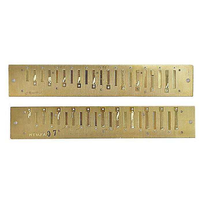 TOMBO ( トンボ ) / 3121REED A