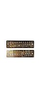 SUZUKI ( ������ )  / PURE HARP MR-550H Reed Plate E